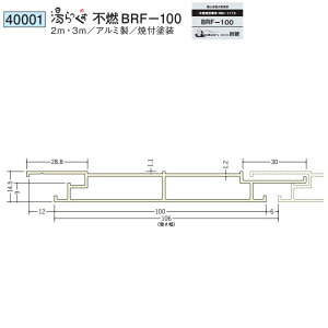 n 40001-2m A~ VEǍށ@sRBRF-100 F2m ĕth FF24F @F1@@@ll