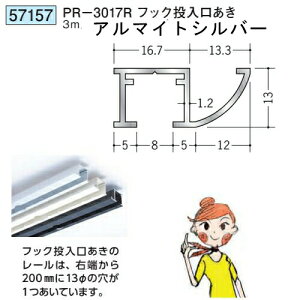 �n�� SOKEN 57157 �A���~ �s�N�`���[���[�� �r�X�~�߃^�C�v PR-3017R�t�b�N���������� �����F3m �F�F�A���}�C�g�V���o�[ �@���F1�@���������@���@�l�l����