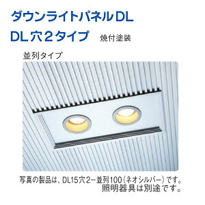 n 60207 A~XphSK^Cv _ECgpl DL102150 ANĕth FF24F 