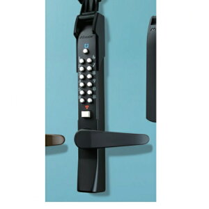 L[bNX 3100 {t K323CM BLuiAʓrςv