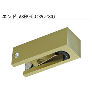 A30 Gh ASEK-50SG TeS[huiAʓrςv