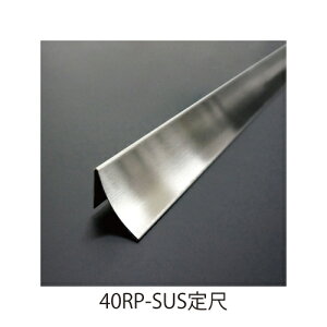 XeXRЖ 40RP-SUS ځuiAʓrςv