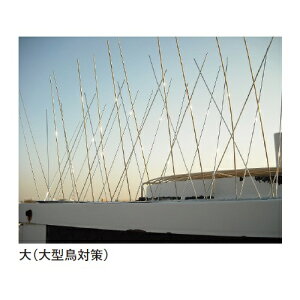 �A���e�b�N�X�p�C�N �� 12.5m�u�����i�A�����ʓr���ς�A�@�l�E���Ə�����v acea