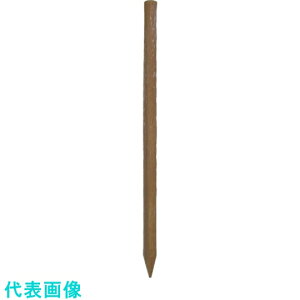 匤@[؍Y55X600x[W@Ȃ ii:G5506BENji1347460jEiʓrς,@lEƏ,j