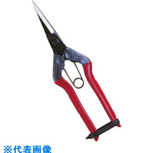 `J}T@ ii:T-551ji1357776jEiʓrς,@lEƏ,j