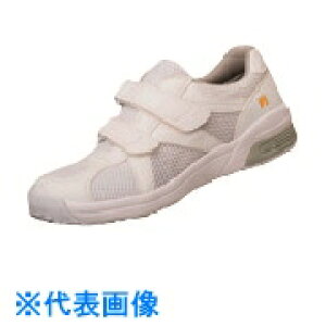 TGK@ÓdƌC@GpX307@22D5cm ii:885-25-07-22ji1838141jEiʓrς,@lEƏ,j