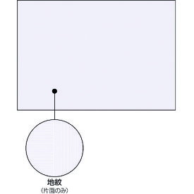 ヒサゴ　マルチプリンタ帳票　コピー偽造予防用紙　浮き文字タイプ　A3片面 （品番:BP2111Z）（注番2146162）・（法人・事業所限定,直送元）