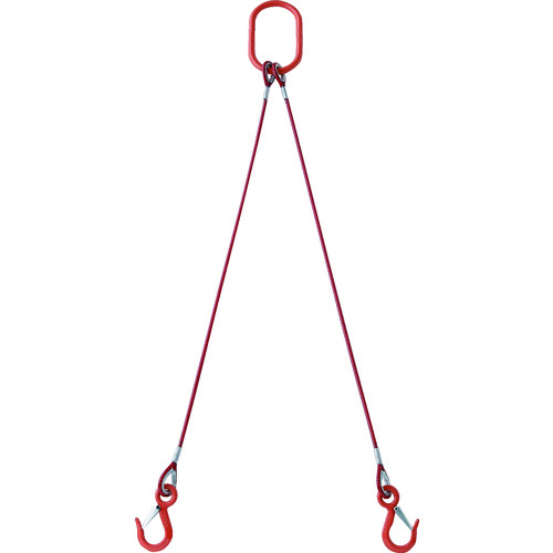 トラスコ中山 ワイヤロープスリング ＴＲＵＳＣＯ ２本吊玉掛ワイヤーロープスリング カラー被覆付 アルミロックタイプ 赤透明２Ｍ 取寄 法人 〔品番:TWSP2P6S2〕 送料別途見積り 事業所限定 代引き不可 2168608 5年保証 超ポイントアップ祭