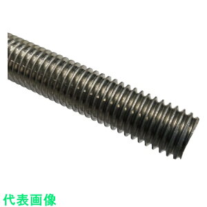 C|Ɓ@؃{g@SUS304@12×500@i60{j ii:NZB-SUS-12500ji2678188jEiʓrς,@lEƏ,j