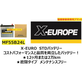 岡田商事　AZ　STDバッテリー　MF55B24L （品番:STD-MF55B24L） （注番2714555）・ （送料別途見積り,法人・事業所限定,取寄）