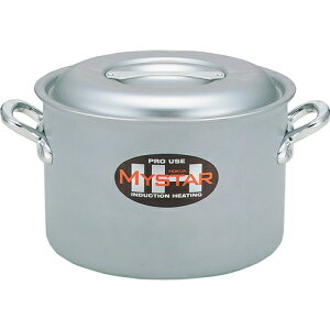Ge[g}c@Ɩp}CX^[IH24cm ii:031671024ji3829956j