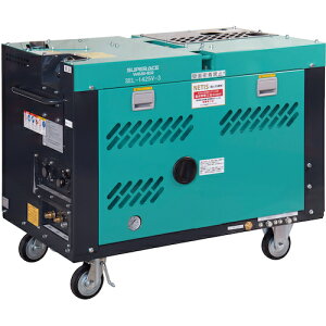 �X�[�p�[�H�Ɓ@�f�B�[�[���G���W���������������@�@SEL-1425V-3�@�h���^�C�v �i�i��:SEL-1425V-3�j�i����4737238�j�E�i�@�l�E���Ə�����,�������j