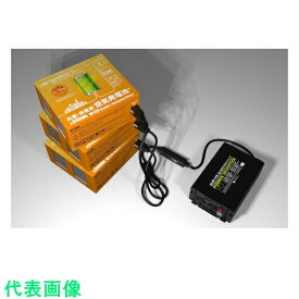 WAHD　空気発電池 （エイターナス2）Cセット （品番:AETERNUS-2XC-01） （注番5137066）