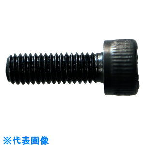 X^[G@dݐ@z_[~߃lW ii:36T-OP3ji6846088jEiʓrς,@lEƏ,j