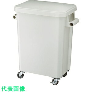 RISU@~[pLX^[y[45L@rt@O[ ii:GGYK001ji8194055j