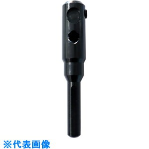X^[G@ݐ@厲 ii:36-OP7ji8374780jEiʓrς,@lEƏ,j