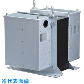 豊澄電源　NT21　ノイズ防止トランス　200V対100V　3KVA （品番:NT21-03KE）（注番8500543）・（送料別途見積り,法人・事業所限定）【大型】