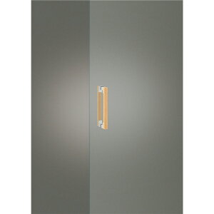 jIhAnh@_^Cv@iԁFG1101-35-128-L250(iAF8~18mm,wB)