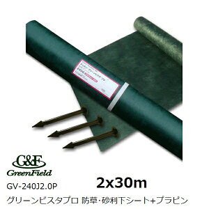 O[tB[hyzhEV[g ̓^Cv2x30m vs100{t O[rX^v240J GV-240J2.0P (K[fjO |)(*ꗣ)ylsz