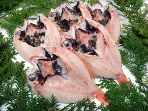 ̂ǂ늱u80gTCY-5Zbgv