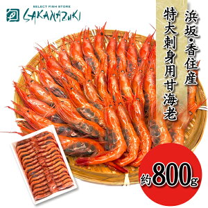 y2w500~ItN[|Iz Z l ÊCV 800g CN C̍K Ε Mtg Ε ÊCV hg Ⓚ ÃGr  Â   Y  ܂ hgp Gr Y  