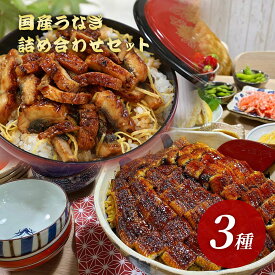 最安値挑戦！国産うなぎ 詰合せセット うなぎ蒲焼き3種入り［ギフト/送料無料/お取り寄せ/グルメ/プレゼント/ギフト/お歳暮/お中元/土用の丑の日/ウナギ/鰻/さかなめし］