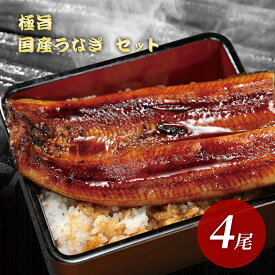 極旨 国産うなぎ セット うなぎ蒲焼き 4尾入り［ギフト/送料無料/お取り寄せ/グルメ/プレゼント/ギフト/お歳暮/お中元/土用の丑の日/ウナギ/鰻/さかなめし］