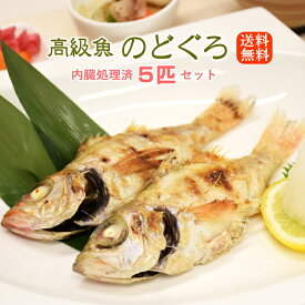 楽天市場 高級魚 のどぐろ おすすめの通販 楽天市場 高級魚 のどぐろ おすすめの通販
