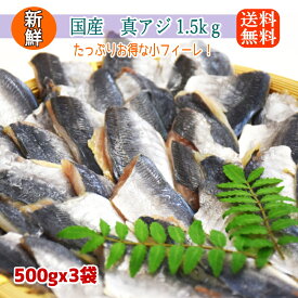 ≪お買い物マラソン 半額クーポンで3,995円！≫ 国産 無塩 マアジ フィーレ たっぷり1.5kg ( 500g x3パック/約99枚) 腹骨取り 訳あり 小さいサイズ 冷凍 アジ 鯵 骨取 切身 業務用 加熱用 あじ 冷凍食材 まとめ買い 大量 南蛮漬け アジフライ 夕飯 朝食 お弁当 真アジ