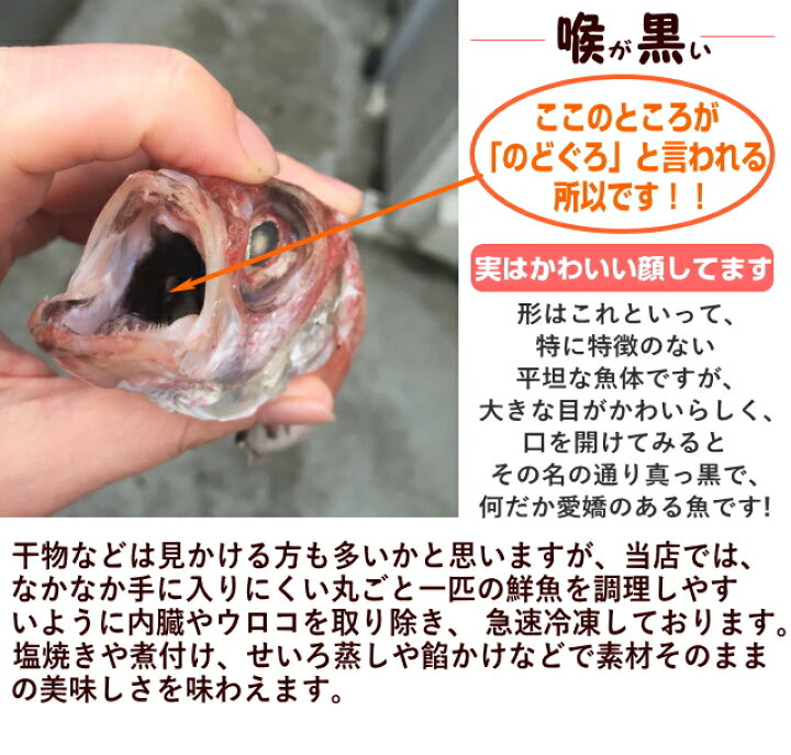 楽天市場 話題の高級魚 のどぐろ 0 250g 中サイズ 3匹セット送料無料 ウロコ 内臓処理済みギフト 父の日 母の日 敬老の日 お中元 お歳暮 贈物ノドグロ のど黒 喉黒 赤むつ 赤ムツ あかむつ さかな屋えびす