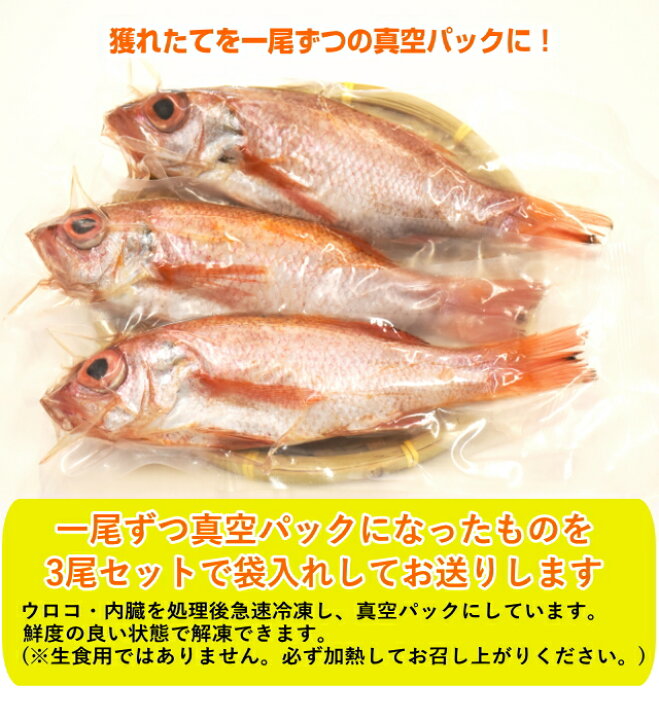 楽天市場 話題の高級魚 のどぐろ 0 250g 中サイズ 3匹セット送料無料 ウロコ 内臓処理済みギフト 父の日 母の日 敬老の日 お中元 お歳暮 贈物ノドグロ のど黒 喉黒 赤むつ 赤ムツ あかむつ さかな屋えびす