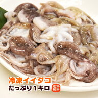 イイダコ 1kg 下処理済み 塩もみ済み 送料無料 バラ凍結で使いやすい タコ たこ 飯蛸 加熱用 いいだこ 冷…