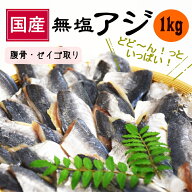 ＼楽天スーパーSALE特価 【33%OFF】4,470円⇒2,990円！／ 国産 無塩 マアジ フィーレ たっぷり1kg (約66…