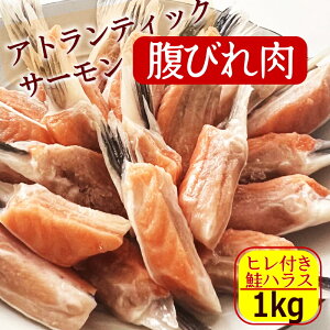 脂のり最高!アトランティックサーモンの美味しい部位 腹びれ肉 1kg(500gx2袋) ハラス 無塩 貴重部位 送料無料(一部地域除く) 腹びれハラス ノルウェー産 さけ サケ 鮭 シャケ 焼くだけ おつ