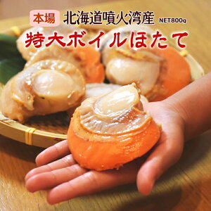 kCΘpY  {Cق 2LTCY g 1kg(16-20)Ⓚق Ⓚz^e {C Ⓚ z^e {̂Hו kCY 䥂  {CL H  z^