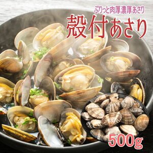 yyVX[p[SALEi 1,300~1,000~zy߁z{Ckt ς 500gZŔ{CĂ邩牷߂邾AT /