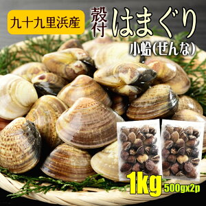 千葉県産(九十九里浜) 冷凍 はまぐり 1kg(500gx2袋) 小蛤 ハマグリ 国産 天然はまぐり ぜんな バラ凍結で使いやすい お吸い物 酒蒸し お祝い事 バーベキュー