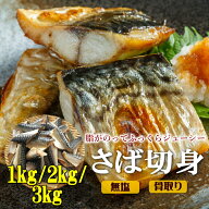 ＼楽天スーパーSALE価格 半額 9,960円⇒4,980円 ／骨取り サバ 切身 20g切身 1kg/2kg/3kg 訳あり サバ 鯖…