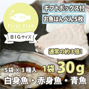 yFirst Fish/Hzy2500~ȏŃMtg{bNXł͂z}}̍l IׂR[X ܂N{bNXforxr[yⓀ/\zt@[XgtBbVz܂Ƃߔ qǂ