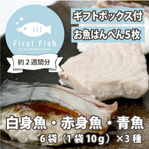 yFirst Fish/Hzy2500~ȏŃMtg{bNXł͂z}}̍l IׂR[X ܂N{bNXforxr[yⓀ/\zt@[XgtBbVz܂Ƃߔ qǂ