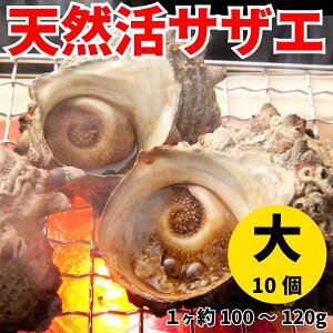 yƖpzTCYIׂIVRTUGijhgAڏĂɁIyⓀ֓zyMtgzyCNo[xL[EBBQEKKĂɂIz Lv Mtg 