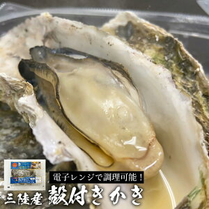 dqWŏy/OYy/JL//Ⓚ/ktyⓀ֓zBBQ