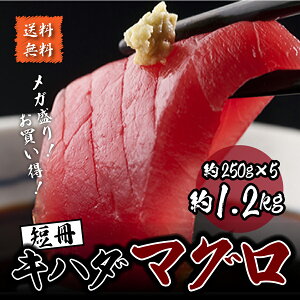 yzʃTCY250g/Ln_}OiE܂jZ/5_wő CN2tAhg14`18AvwAl炵̕ɃIXXIyⓀ֓zyMtgzyH