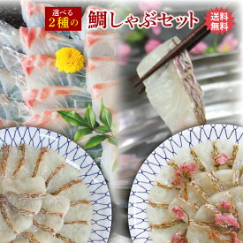 【送料無料】選べる2種の国産たいしゃぶ 鍋セット約3人前24切【贅沢ポン酢付き！】【冷凍便限定/同梱可】ギフト たいしゃぶセット 鯛しゃぶセット 真鯛 マダイ 刺身 取り寄せ鍋セット