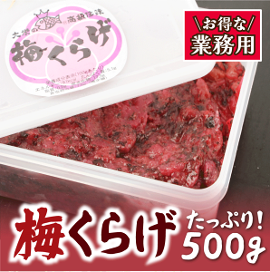 yƖpz~炰500giENQ/߂炰jyⓀ֓z K@Ɩp@i
