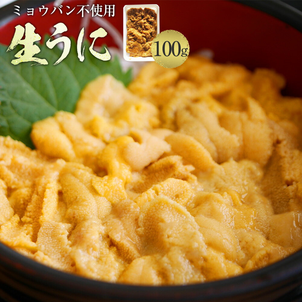 年末ご予約OK! うに 生うに 100g チリ産 ウニ 雲丹