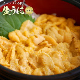 【送料無料】うに 生うに 100g×5 500g チリ産 ウニ 雲丹 父の日 母の日 お花見