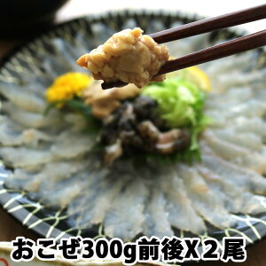 IR[ ˓CY 300gOX2 i①ցj  hg g
