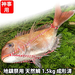 n՗p VR ^ ˓CY s1.5kgO(c:40-50cmO :15cm)tnՓグ  t hg j t ^ j ˓C VR^  ₵ ςz  V