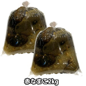 ԂȂ܂ 1kg`2kg QYȂ   i}R Cl i①ցjȂ܂| ~  _炩ԃi}R Cl CQ Ȃ܂ ̂킽 _C  h{ hg |̕ ݂낵@ 